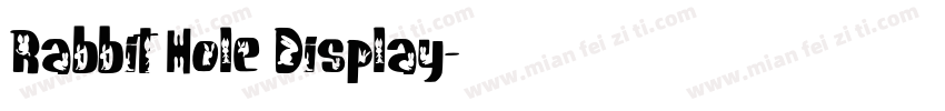 Rabbit Hole Display字体转换
